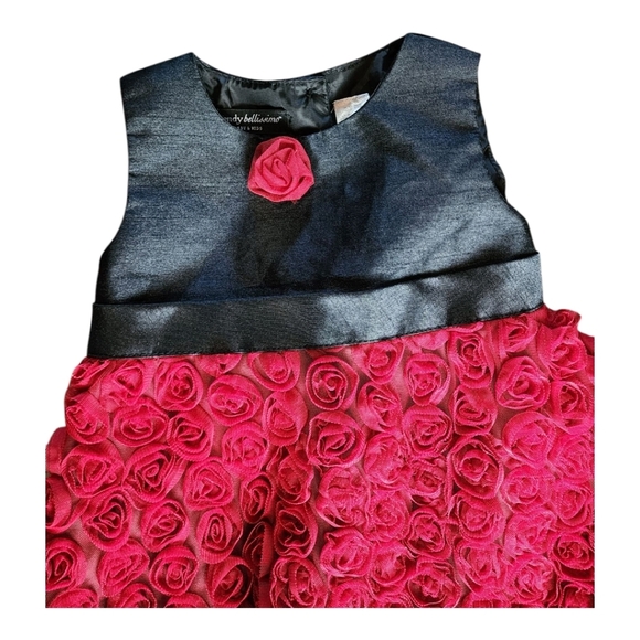 Wendy Bellissimo 18M Navy & Pink Rosette Dress Baby Girl Party Holiday - Picture 3 of 7